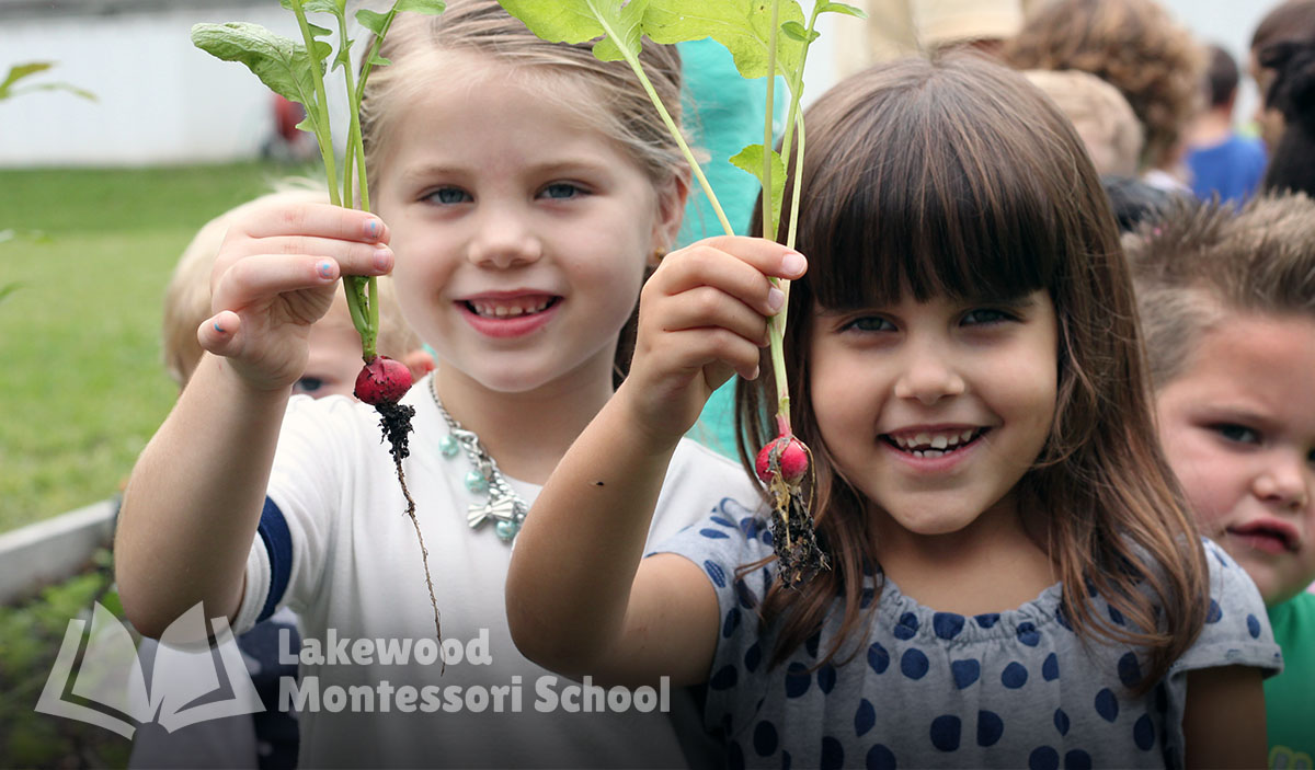 Montessori Programs